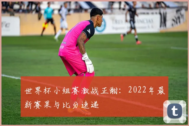 世界杯小组赛激战正酣：2022年最新赛果与比分速递