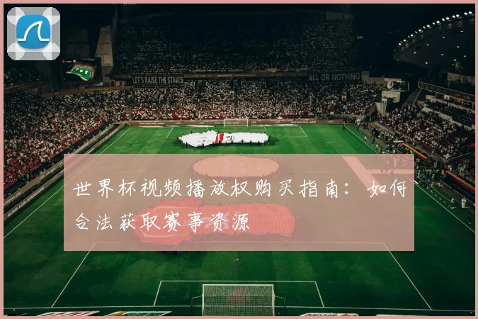 世界杯视频播放权购买指南：如何合法获取赛事资源