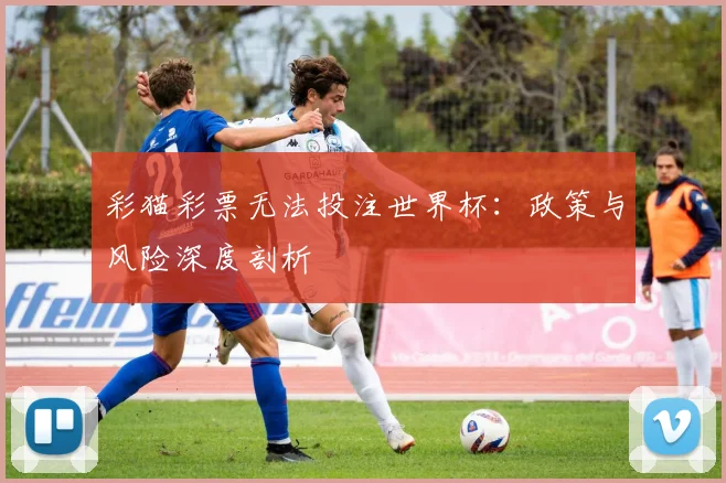 彩猫彩票无法投注世界杯：政策与风险深度剖析