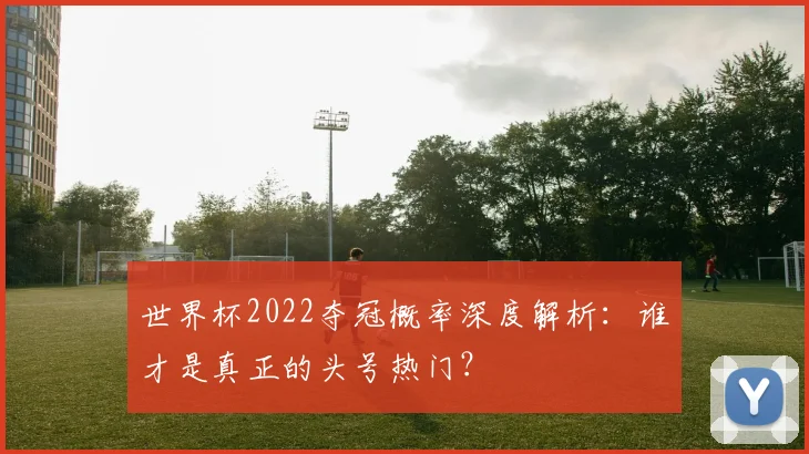 世界杯2022夺冠概率深度解析：谁才是真正的头号热门？