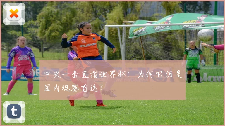 中央一套直播世界杯：为何它仍是国内观赛首选？