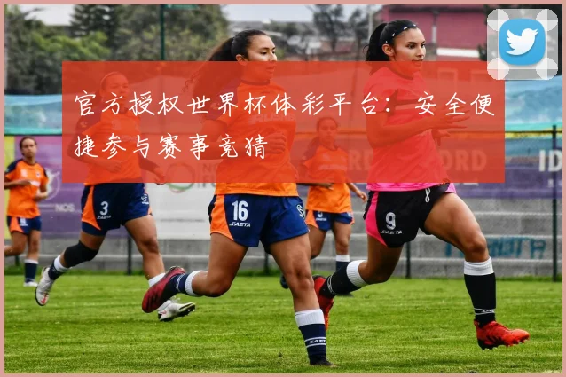官方授权世界杯体彩平台：安全便捷参与赛事竞猜