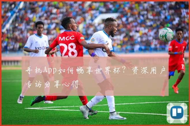 手机App如何畅享世界杯？资深用户专访分享心得