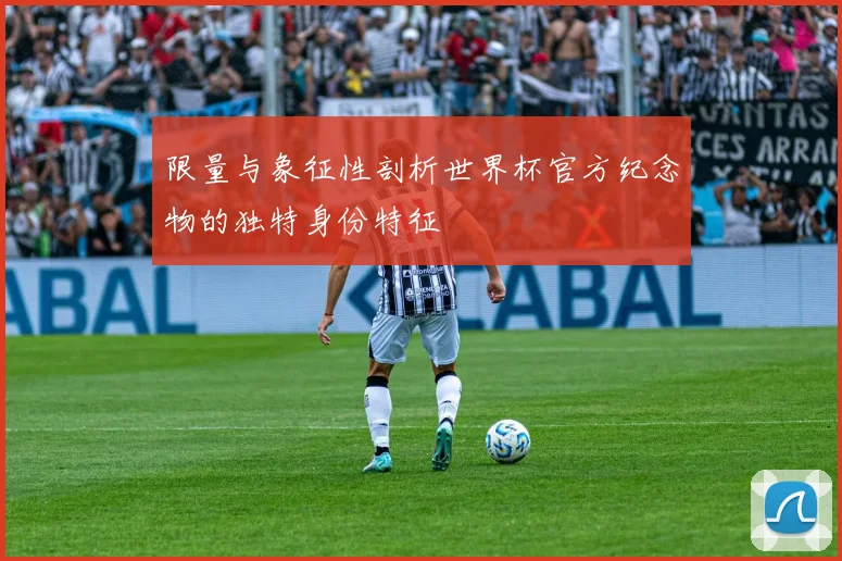 限量与象征性剖析世界杯官方纪念物的独特身份特征